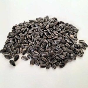 Sunflower Microgreen Seeds