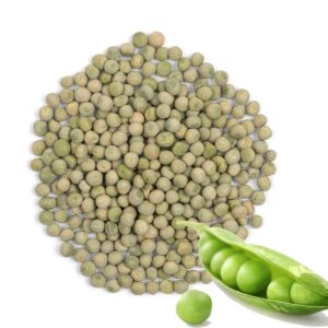 microgreen pea seed