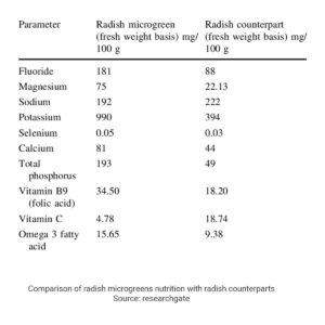 Radish Microgreen