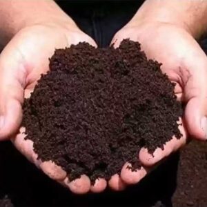 Vermicompost - ভার্মি কম্পোস্ট-dhaka-bangladesh