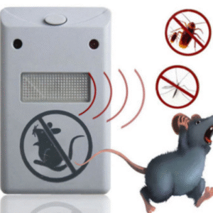 H1205647d326c490d8bebcd00cd9b27c3S